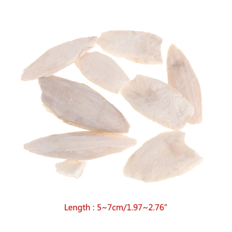 1 Bag Cuttlebone Cuttlefish ia Bone Cuttle Fish Bird Food Calcium Pickstone Pet