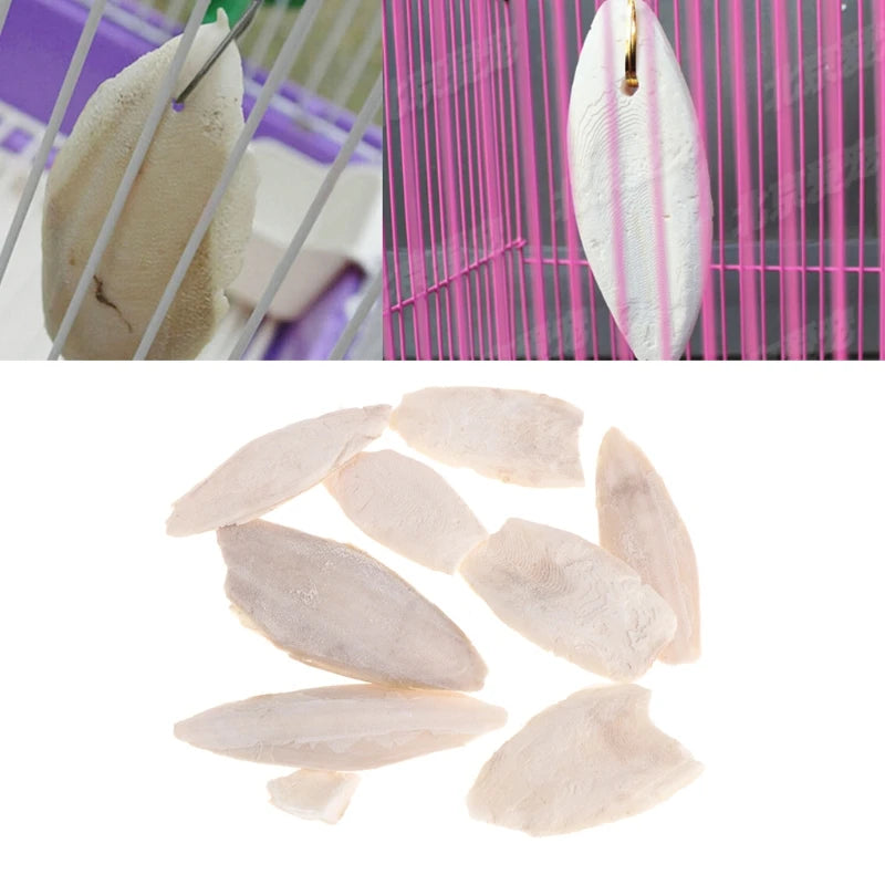 1 Bag Cuttlebone Cuttlefish ia Bone Cuttle Fish Bird Food Calcium Pickstone Pet